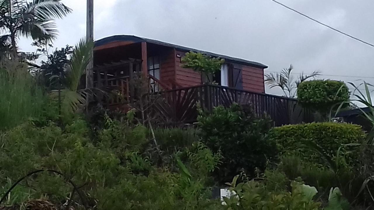 Ferme Lebon Papillon La Roulotte Le Tampon Exterior foto